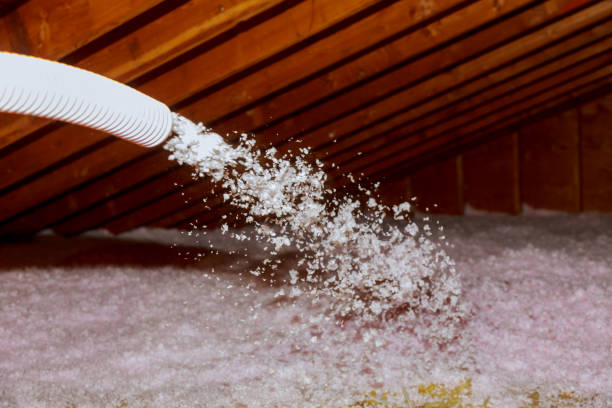 Best Energy Efficiency Solutions in Aust, IN